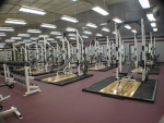 Weights5