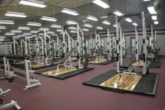 Weights5